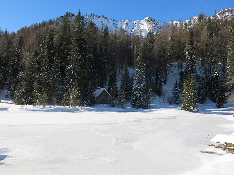 Buchbergkogel